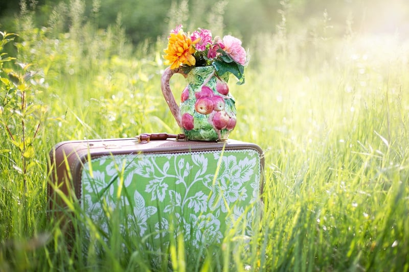 Travel Suitcase